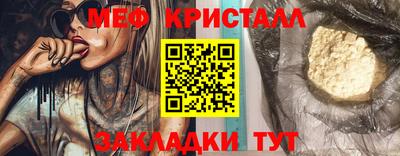 крисы Кингисепп