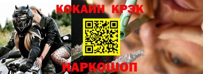 крисы Кингисепп