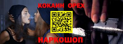 крисы Кингисепп