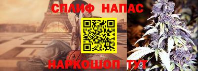 крисы Кингисепп