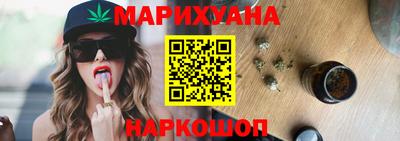 крисы Кингисепп