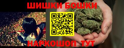 крисы Кингисепп