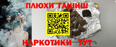 крисы Кингисепп