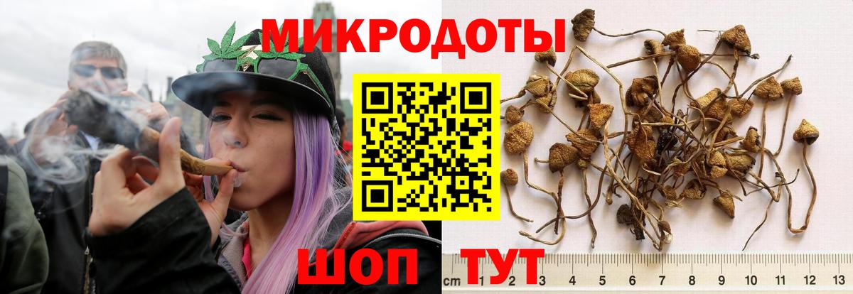 Псилоцибиновые грибы мухоморы Красный Сулин