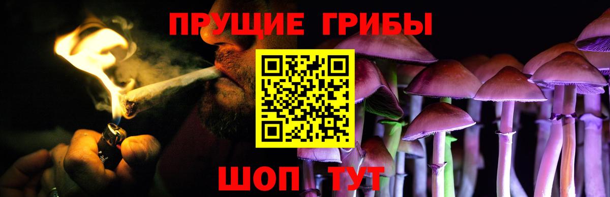 Галлюциногенные грибы Psilocybe  Псилоцибиновые грибы MAGIC MUSHROOMS  Красный Сулин  Вход с VPN 