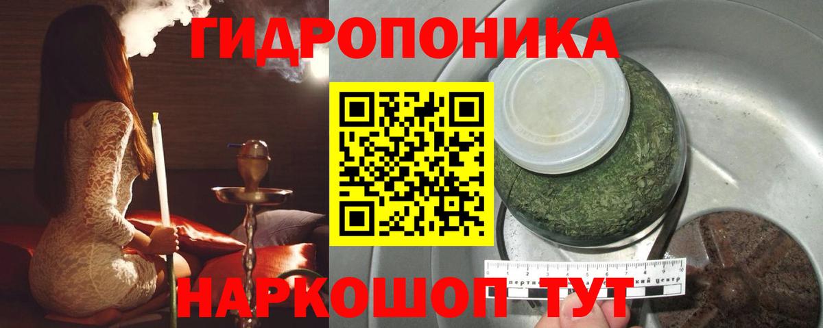 Каннабис Ganja  Вход с VPN  Бошки марихуана конопля  Канабис индика  Красный Сулин 